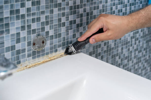 Best Emergency Mold Remediation in South Point, OH